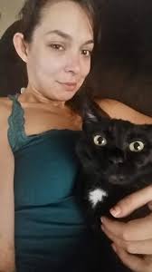 Lost cat near Kapok Lane found