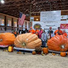 Image result for giant pumpkin