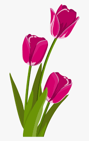 When designing a new logo you can be inspired there is no psd format for bunga png images, vektor bunga free download in our system. Bunga Tulip Vektor Bunga Vektor Png Transparent Png Kindpng