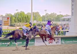 Catching Up With Kentucky Derby Runner-Up Commanding Curve