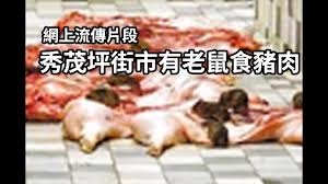 The site owner hides the web page description. 8 14 ç¶²ä¸Šæµå‚³ç‰‡æ®µç§€èŒ‚åªè¡—å¸‚æœ‰è€é¼ é£Ÿè±¬è‚‰ Hklm Youtube