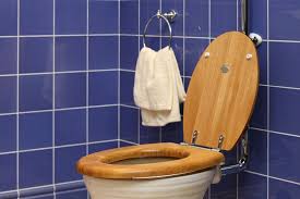 Check spelling or type a new query. Toilet Seats Wood Vs Plastic 5 Factors You Should Consider Wigglywisdom Com