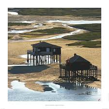 Affiche Cabanes Tchanquees Bassin D Arcachon Acheter Affiche Cabanes Tchanquees Bassin D Arcachon 3733 Affiches Et Bassin D Arcachon Arcachon Bassin