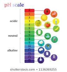 acidic alkaline food images stock photos vectors