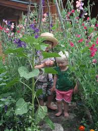 A Little Crafty Nest Sweet Pea Veg Garden Children S Garden