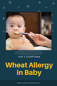 Symptoms Of Wheat Allergy In Baby Wheat Allergy Symptoms Wheat Allergies Allergies