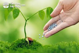 Image result for nghị định phân bón