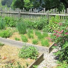 Mulchen Im Garten Native Plants