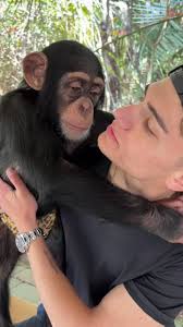 @kidisgood's video Tweet