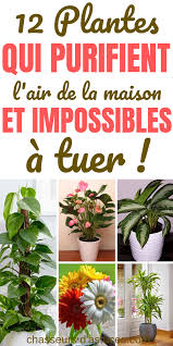 Pin On Jardin Tableau Collaboratif