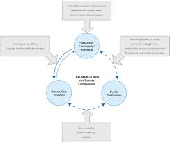 Global supply chain business (customer experience centers and contact centers). The Relationship Of Primary Care Providers To Dental Practitioners In Rural And Remote Australia Bmc Health Services Research Full Text