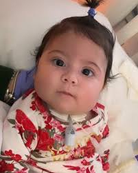 Citlali Bustamante Obituary 2023