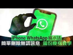 iphone 大掃除whatsapp 瘦身法刪除無用對話備份更輕鬆 今天更新最新消息 whatsapp send 唔到相2020 iphone