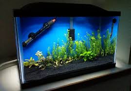 The front end opens up for feeding and cleaning. Review Can The Marineland Led Hood Grow Plants Odin Aquatics