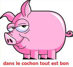 Je m'appelle amélie, je suis avocate de formation, et je vivais avec mon tendre mari, thierry, qui lui travaillais la semaine dans son labo et le weekend dans la ferme familiale. Deux Truies Violees Par Un Porc En Guyane Bondamanjak