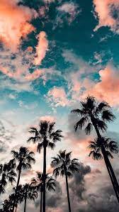Iphone xs max iphone x / xs iphone 6s+/7+/8+ iphone 6/6s/7/8. Pin By Bradford Bad Girl On Wallpaper Wallpaper Iphone Summer Beautiful Summer Wallpaper Backgrounds Phone Wallpapers