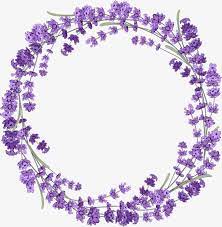 Flower wreath png hd transparent. Lavender Wreath Purple Lavender Wreath Png And Vector With Transparent Background For Free Download Lavender Wreath Flower Frame Floral Border Design