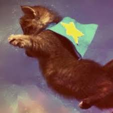 Ucan Kedi Accueil Facebook