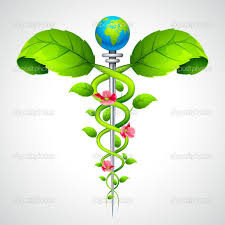 Caduceus Sign With Leaf And Flowers Box Frame Art Banner Background Images Chakra Colors