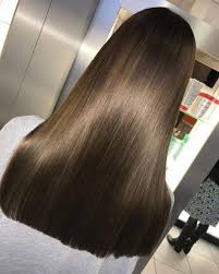 Straight Cappuccino Brown Hair With Subtle Blonde Highlights Healthyshinyhair Brown Hair With Blonde Highlights Subtle Blonde Highlights Brown Blonde Hair