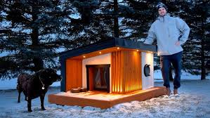 Building A Heated Dog House For