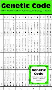 Free Genetic Code Reference Sheet For Molecular Biology Students Central Dogma Transcription Translatio Molecular Biology Biology Classroom Teaching Biology