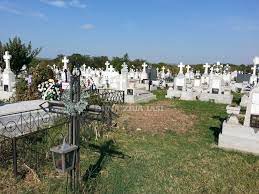 Aleea spital pașcanu, iași, iași, romania. Macabru Morti Aruncati Afara Din Groapa Intr Un Cimitir Din Iasi Foto Video Buna Ziua Iasi Bzi Ro