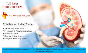 A Kidney Stone Can Not Be The Cause Of Symptoms Unless You Rotate Around Your Kidney Or Pass Through Your Urine With Medical College Best Hospitals Medical