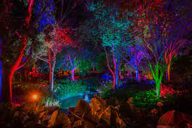Brisbane S Enchanted Garden Life Portraits