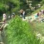 Heatwave Strains Public Transport, Agriculture, and Water Resources in Baden-Württemberg