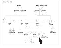 pedigree and family history taking understanding genetics