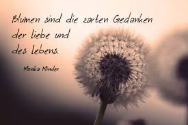 Lebenssprüche Schöne Und Kurze Sprüche über Das Leben