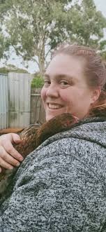 At what age do Wyandotte chickens start laying eggs?