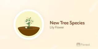 Lily (kappa mikey) — lily is a character on the nickelodeon (tv channel) and nicktoons network tv show, kappa mikey.general informationlily used to be the one and only star of lilymu, which points. Forest On Twitter Let S Welcome Our Sweet New Addition Lily Flower Plant A Lily Now And Add Some Joy And Freshness To Your Forest