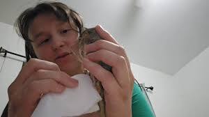 Ella's Reptile Sanctuary and Rescue