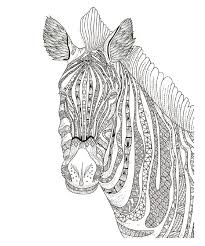 Pin On Animal Coloring Pages
