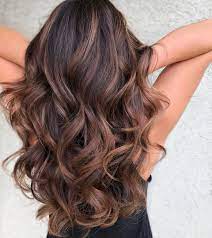 60 Looks With Caramel Highlights On Brown And Dark Brown Hair Brunette Balayage Hair Dark Hair With Highlights Brown Hair Balayage