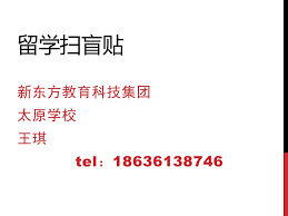 新東方教育科技(集團)有限公司 new oriental education & technology group inc. ç•™å­¦æ‰«ç›²è´´æ–°ä¸œæ–¹æ•™è‚²ç§'æŠ€é›†å›¢å¤ªåŽŸå­¦æ ¡çŽ‹çªtel Ppt Download