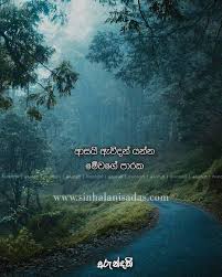 We did not find results for: Sathuta Nisadas Archives Sinhala Nisadas