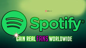 There are a couple of other packages as well. Get Organic 1000 Spotify Artist Followers Real And Active