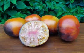 Tomato fanciers agree that there's nothing lacking here. Yellow Tomatoes P20 X Beauty King Tomato