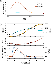 Maybe you would like to learn more about one of these? Microfluidics Of Cytoplasmic Streaming And Its Implications For Intracellular Transport Pnas