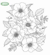 Harga scratch note buku gambar gores magic anak dan dewasa korea / cute girl. Buku Mewarnai Burung Bunga Mewarnai Buku Orang Dewasa 96 Halaman Coloring Book Adult Book Adultsanti Stress Coloring Book Aliexpress