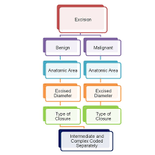 Ccs Prep A Legion Of Lesions Finding The The Best And Most Accurate Cpt Code Medical Coding Medical Billing And Coding Health Information Management