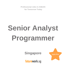 Senior Analyst Programmer In 2020 Business Analyst Linkedin Job Analyst