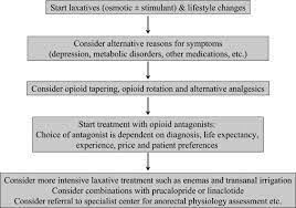 Definition Diagnosis And Treatment Strategies For Opioid Induced Bowel Dysfunction Recommendations Of The Nordic Working Group Sciencedirect