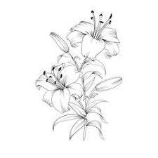 Epingle Par Krupa Nagarajan Sur Peinture A L Aiguille Fleur De Lys Dessin Croquis De Fleurs Tattoo Fleur De Lys