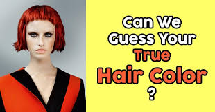 Upgrade and get a lot more done! What Color Should You Dye Your Hair Quizdoo