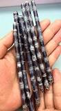 Meet the Mini Black Sugarcane! #shorts #plants #farming ...