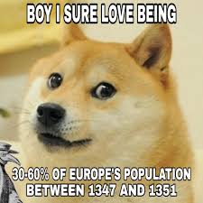 We have 87+ background pictures for you! Oh God No Ironic Doge Memes Know Your Meme